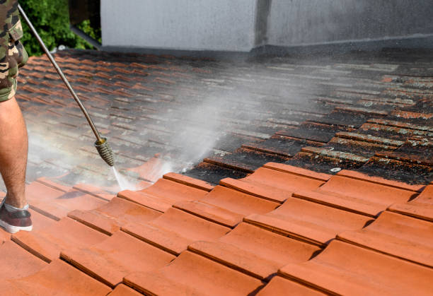 Best Residential Pressure Washing Services  in Euless, TX
