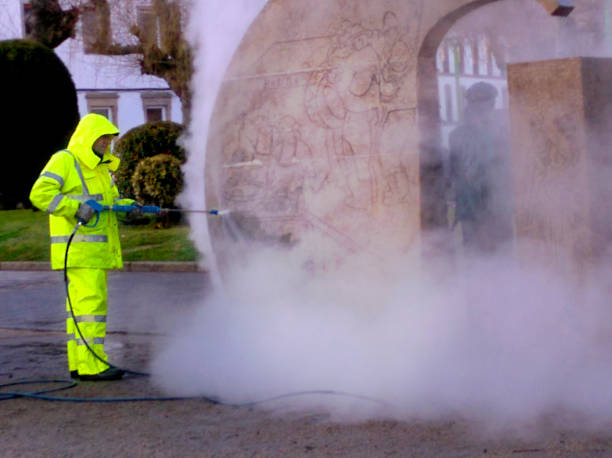 Best Roof Pressure Washing  in Euless, TX